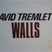 Art & Project Bulletin 152; David Tremlett