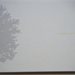 A Small Book of Trees