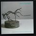 Barry Flanagan, Linear Sculptures in Bronze and Stone Carvings 